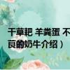 干草耙 羊糞蛋 不吃毛茛的奶牛（關于干草耙 羊糞蛋 不吃毛茛的奶牛介紹）