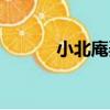小北庵弄（關于小北庵弄簡介）