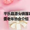 平樂縣源頭鎮蓮塘村委老年協會（關于平樂縣源頭鎮蓮塘村委老年協會介紹）