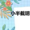 小半截胡同（關于小半截胡同簡介）