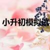 小升初模擬試卷（關于小升初模擬試卷簡介）