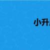 小升麻（關于小升麻簡介）