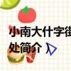 小南大什字街辦事處（關于小南大什字街辦事處簡介）