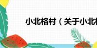 小北格村(關于小北格村簡介)