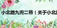 小北路九兜二巷(關于小北路九兜二巷簡介)