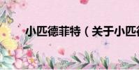 小匹德菲特(關于小匹德菲特簡介)