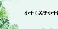 小千(關于小千簡介)