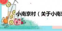 小南京村(關于小南京村簡介)