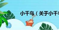 小千鳥(關于小千鳥簡介)