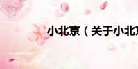小北京(關于小北京簡介)