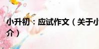 小升初:應試作文(關于小升初:應試作文簡介)