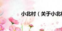 小北村(關于小北村簡介)