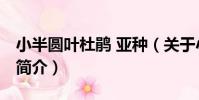 小半圓葉杜鵑 亞種(關于小半圓葉杜鵑 亞種簡介)