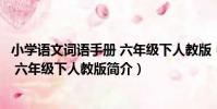 小學語文詞語手冊 六年級下人教版(關于小學語文詞語手冊 六年級下人教版簡介)