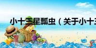 小十三星瓢蟲(關于小十三星瓢蟲簡介)