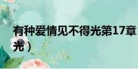 有種愛情見不得光第17章(有種愛情見不得光)