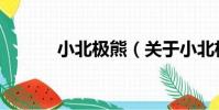 小北極熊(關于小北極熊簡介)