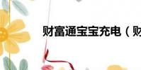 財富通寶寶充電(財富通寶)