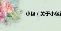 小包(關于小包簡介)