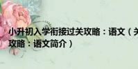 小升初入學銜接過關攻略:語文(關于小升初入學銜接過關攻略:語文簡介)