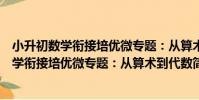 小升初數學銜接培優微專題:從算術到代數(關于小升初數學銜接培優微專題:從算術到代數簡介)