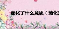 茄化了什么意思(茄化是什么意思)