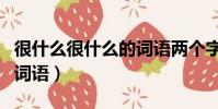 很什么很什么的詞語兩個字(很什么很什么的詞語)