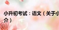 小升初考試:語文(關于小升初考試:語文簡介)