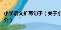 小學語文擴寫句子(關于小學語文擴寫句子簡介)
