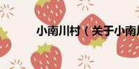 小南川村(關于小南川村簡介)