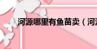 河源哪里有魚苗賣(河源魚苗批發)