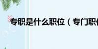 專職是什么職位(專門職位是什么意思)