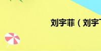 劉宇菲(劉宇飛)