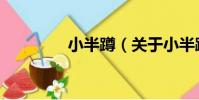 小半蹲(關于小半蹲簡介)