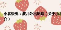 小北極兔:波兒外出歷險(關于小北極兔:波兒外出歷險簡介)