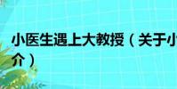 小醫生遇上大教授(關于小醫生遇上大教授簡介)