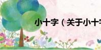 小十字(關于小十字簡介)