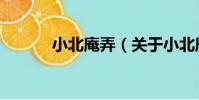 小北庵弄(關于小北庵弄簡介)