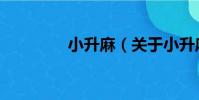 小升麻(關于小升麻簡介)