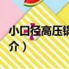 小口徑高壓鍋爐管（關于小口徑高壓鍋爐管簡介）