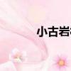 小古巖村（關于小古巖村簡介）