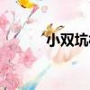 小雙坑村（關于小雙坑村簡介）