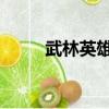 武林英雄傳 貼吧（武林英雄私服）