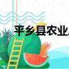 平鄉縣農業局（關于平鄉縣農業局介紹）