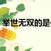 舉世無雙的是什么意思（舉世無雙什么意思）