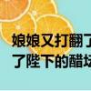 娘娘又打翻了陛下的醋壇百度云（娘娘又打翻了陛下的醋壇）
