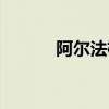 阿爾法植發經歷（阿爾法植發）