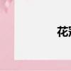花冠英文（花冠 英文）
