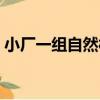 小廠一組自然村（關于小廠一組自然村簡介）