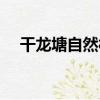 干龍塘自然村（關于干龍塘自然村介紹）